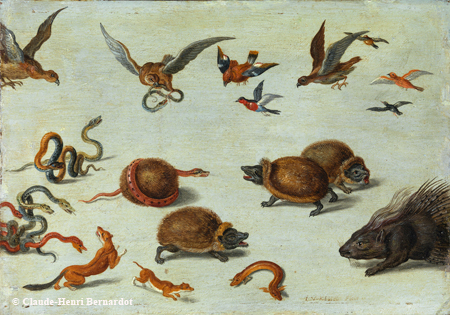 " Les ennemis des serpents" de Jan Van Kessel ©studio Bernardot