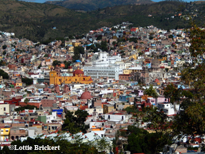 La cathédrale et l'université de Guanajuato. Photo: Lottie Brickert